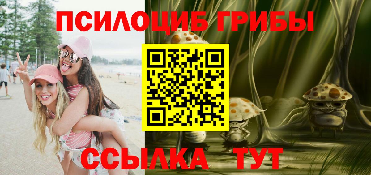 Псилоцибиновые грибы мухоморы Дубна